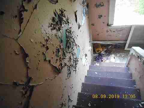 15779 Linden (64)_m.jpg